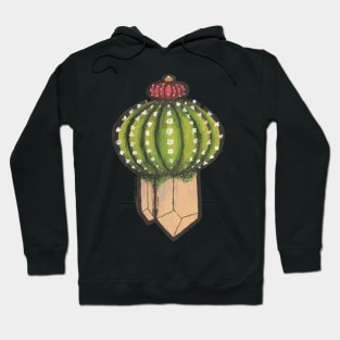 Cactus with crystal roots 5 Hoodie